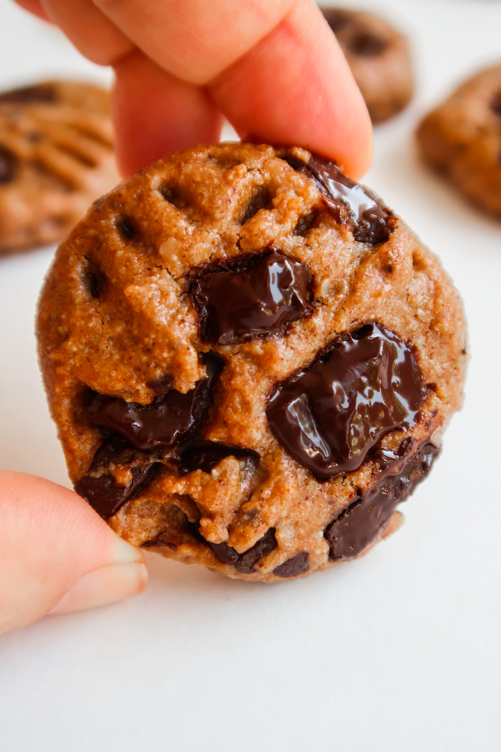 Read more about the article Healthy Almond Butter Chocolate Cookies